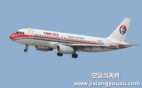 實驗鼠空運